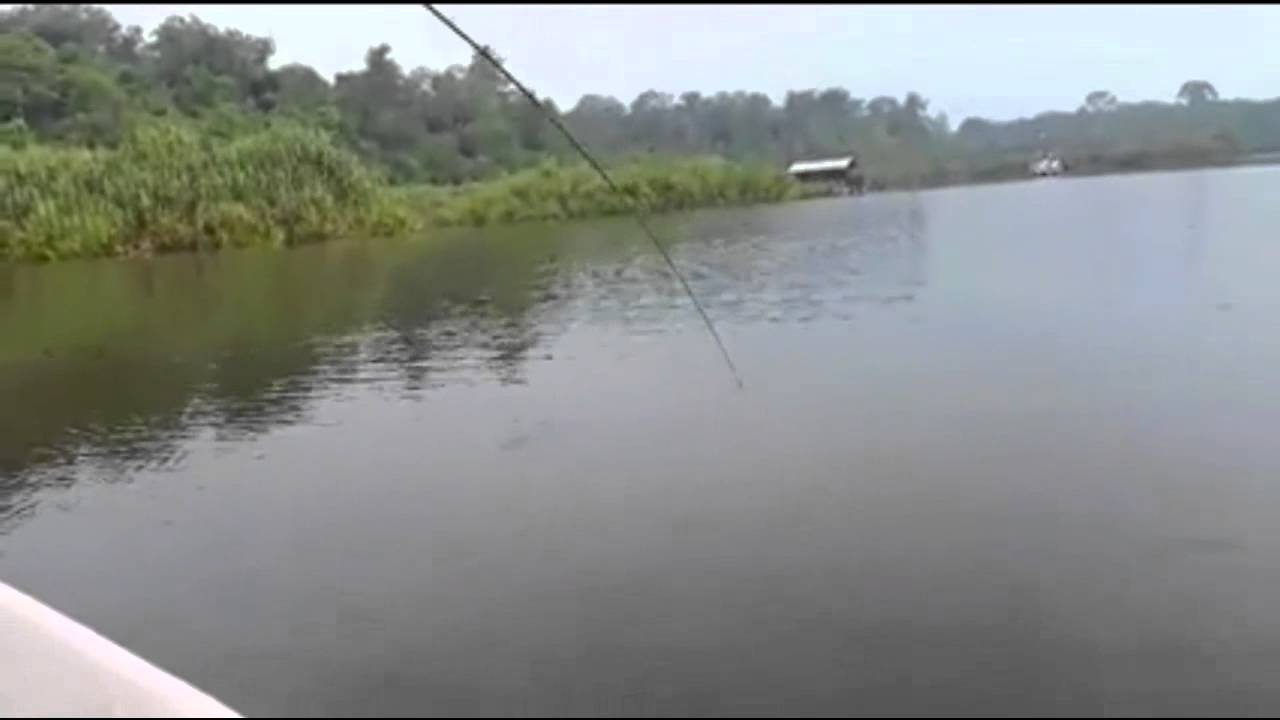 memancing ikan sungai